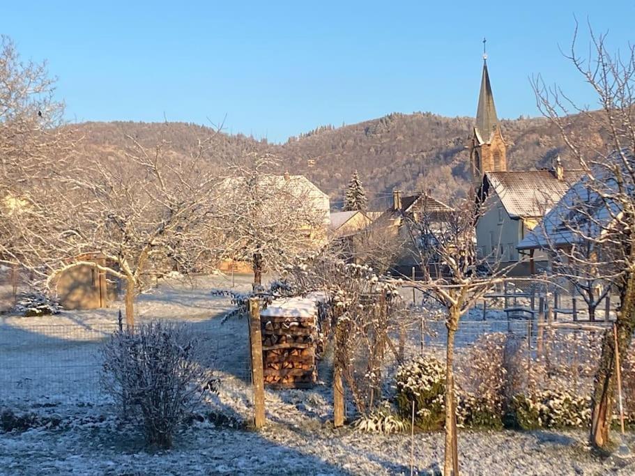 Gite Le Charmot, Au Pied Des Montagnes Classe 3* Roderen Экстерьер фото