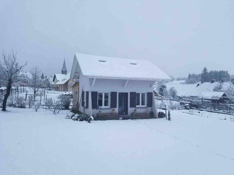 Gite Le Charmot, Au Pied Des Montagnes Classe 3* Roderen Экстерьер фото